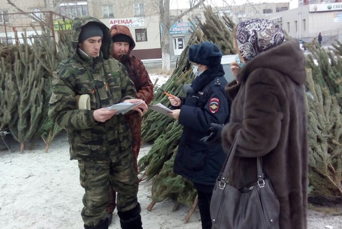 В Челябинске четыре нелегала незаконно торговали елками на перекрестке