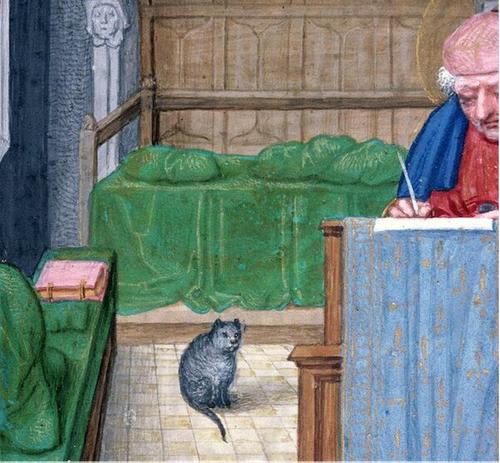 Исследование: отношение к кошкам в средние века