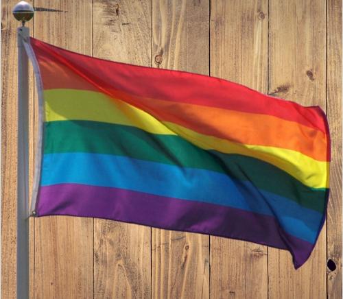 Латвия: школьников просят поддержать однополые браки