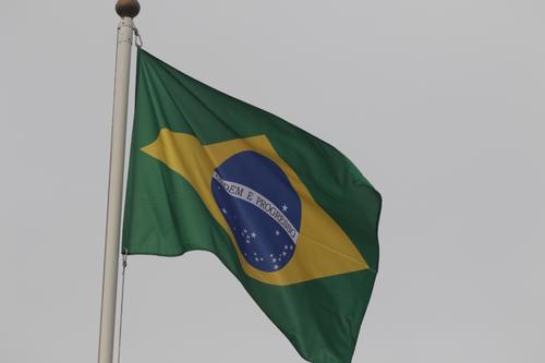 Профессор Мартынов: Бразилия расколота «примерно пополам» 