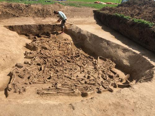 В Словакии обнаружили 38 обезглавленных скелетов, захороненных 7000 лет назад
