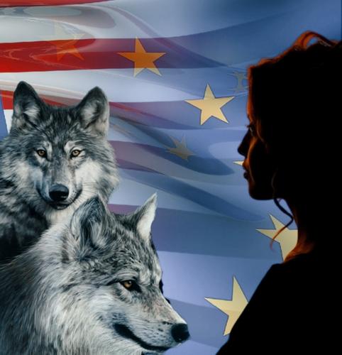 Новости толерантного Запада: Как люди определяют себя волками