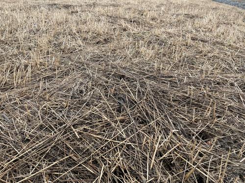 Аргентинское правительство и экспортеры сельскохозяйственной продукции ищут помощи из-за продолжительной засухи