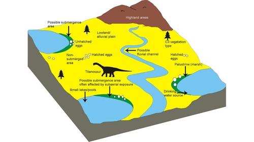 Открытие места скопления кладок гнездования мелового периода предполагает, что титанозавры отложили яйца и оставили свое потомство