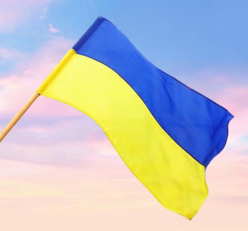 В Латвии участились кражи украинских флагов