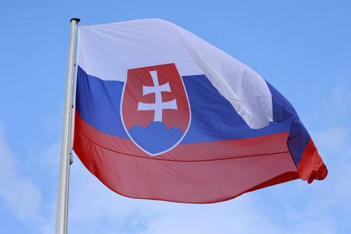 Минобороны Словакии: Киев хочет получить от Братиславы еще четырнадцать гаубиц Zuzana 2