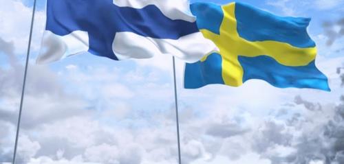Политолог Светов: «Швеция и Финляндия обязательно вступят в НАТО»
