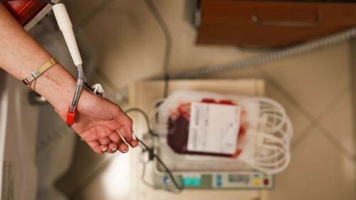 В госпитале Военно-медицинской академии Петербурга недостаёт донорской крови