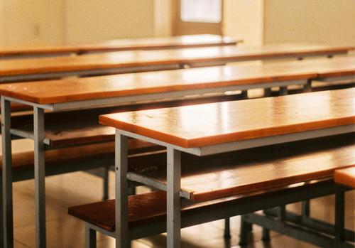 Источник сообщил, что конфликт между пятиклассницами в школе в Химках мог произойти на почве ревности