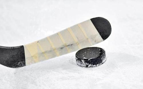 Сын Александра Овечкина принял участие в «Матче всех звёзд НХЛ»