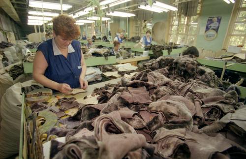 Аналитик Мосолов: российские покупатели стали больше доверять отечественным производителям  