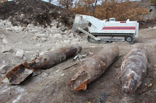 Политик Хофрайтер назвал требование Украины предоставить Киеву кассетные бомбы ошибкой