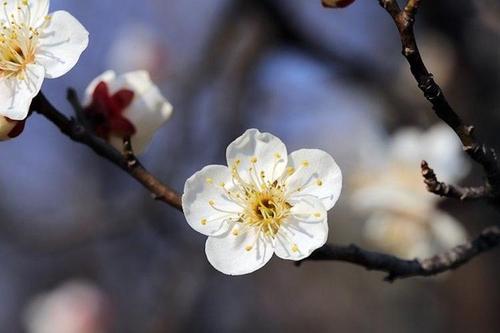 Весна - благодатное и счастливое время для России​ - Аргументы Недели