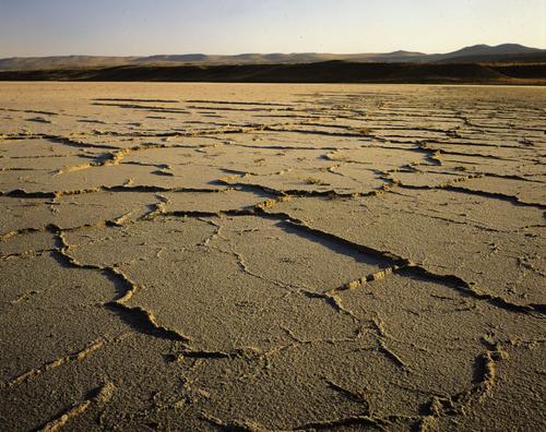 Ученые смогли объяснить происхождение загадочных узоров, найденных в соляных пустынях по всему миру