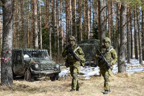 В Эстонии заговорили о том, что пора увеличить численность войск в два раза