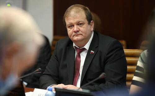 Сенатор Безденежных отреагировал на задержание хабаровчанки за госизмену
