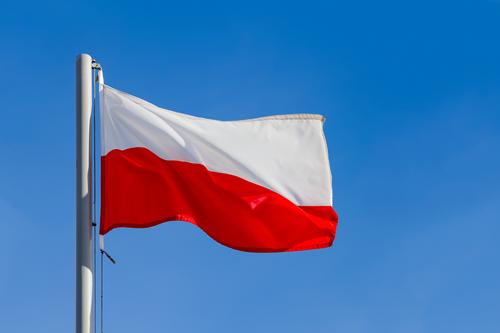 Эксперт Межевич: Польша мечтает обрести контроль над территориями Украины и прибалтийских стран 