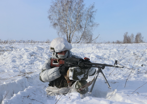 Российские артиллеристы ликвидировали под Кременной украинскую БМП 