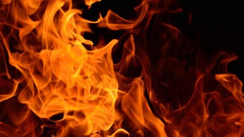 В Василеостровском районе Петербурга на пожаре погибли два человека