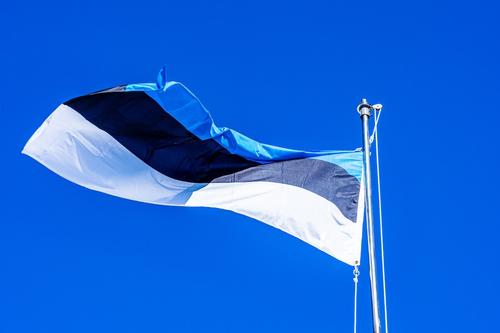 Издание Politico утверждает, что Эстония отправляет старое оружие Украине, а свои запасы обновляет за счет средств ЕС
