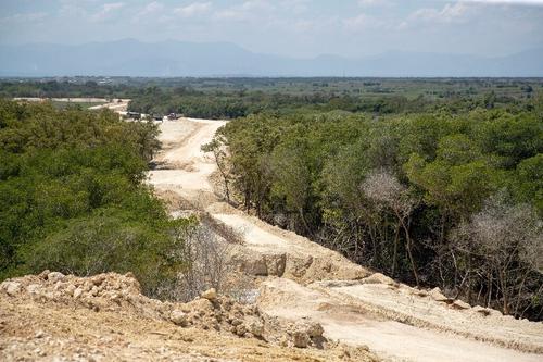 Доминиканская антимигрантская стена угрожает мангровым зарослям