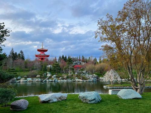 Экс-мэр Краснодара восхитился Японским садом