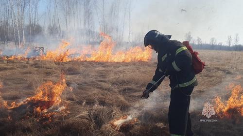 В Хабаровском крае пожарные потушили 30 палов травы