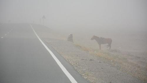 Пыльная буря накрыла трассу Абакан-Красноярск
