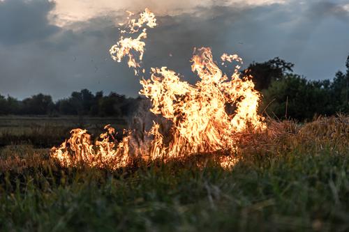 С начала весны на Урале произошло 100 пожаров