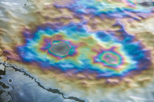 В акватории Невы обнаружили большое масляное пятно