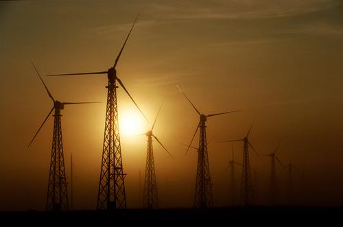 Ветряные электрогенераторы на самом деле и вредны, и загрязняют окружающую среду 