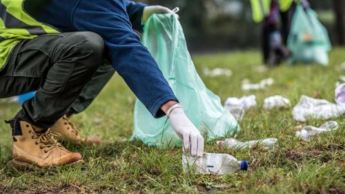 День благоустройства проходит в Петербурге