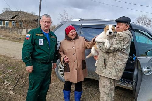 В Хабаровском крае и Приморье гражданам возместили ущерб от нападений тигров