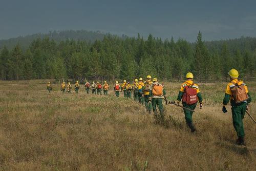 Борьбу с лесными пожарами в регионах усилят лесным «спецназом»