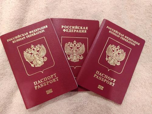 Украинский омбудсмен Лубинец посоветовал жителям ДНР, ЛНР, Запорожской и Херсонской областей получить паспорта России