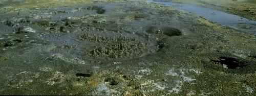 На Кубани началось извержение грязевого вулкана Шуго