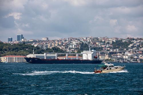 Турецкий телеканал TRT Haber сообщил о возобновлении инспекций судов по «зерновой сделке»