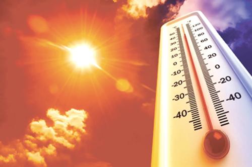 Климатологи считают, что 2023 год может стать самым жарким годом в истории