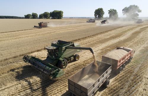 Источник сообщил РИА Новости, что проведение переговоров по продлению «зерновой сделки» на этой неделе не планируется