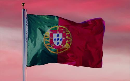 В Португалии официально разрешили эвтаназию