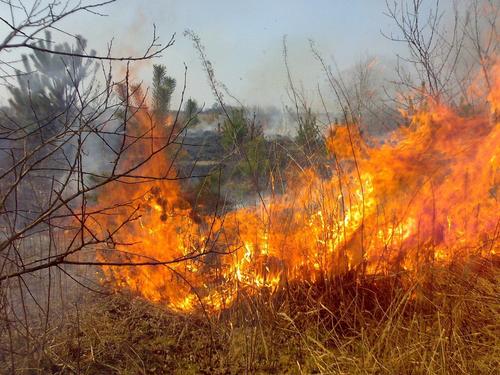 В Амурском районе Хабаровского края установлен пятый класс пожарной опасности