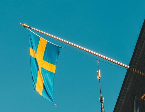 Спикер Рады Стефанчук заявил, что Украина попросила у Швеции истребители Gripen