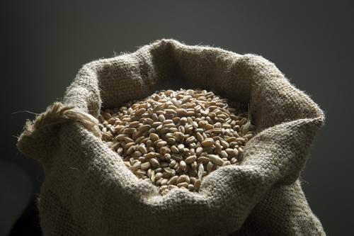 Источник РИА Новости заявил, что для расширения списка экспортируемых товаров по зерновой сделке требуется готовность сторон