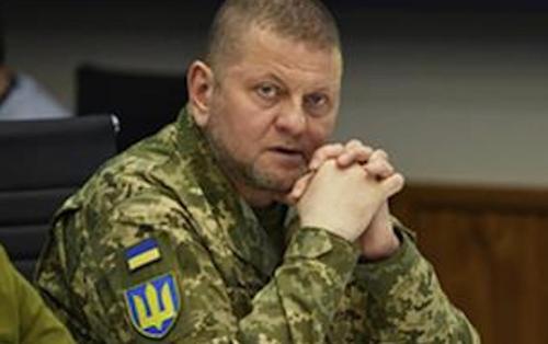 Советник сухопутных войск ВСУ Шевцова призналась, что опубликовала старое фото с Залужным после сообщений о его ранении