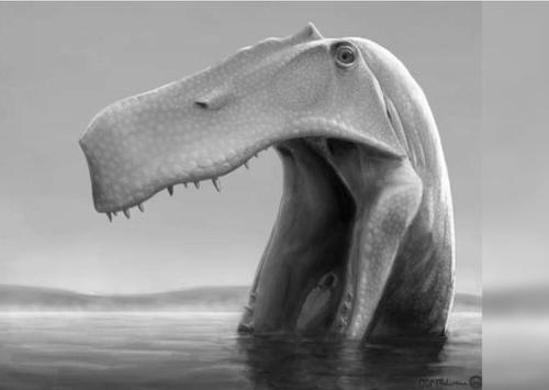 Огромный динозавр из Бразилии ел «как пеликан»