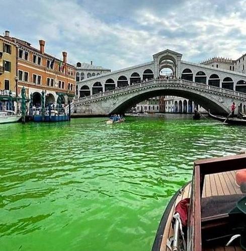 Воды в Венеции окрасились в ярко-зеленый цвет