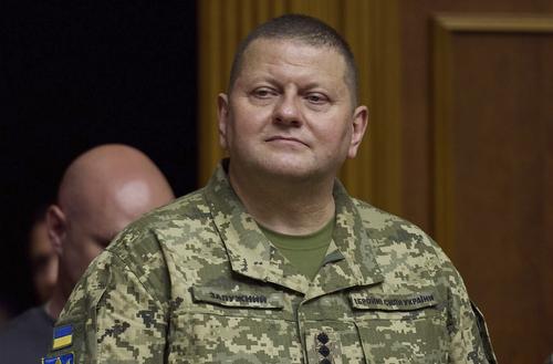 Залужный сообщил, что рассказал по телефону генералу Милли о планах ВСУ по «освобождению украинской территории»