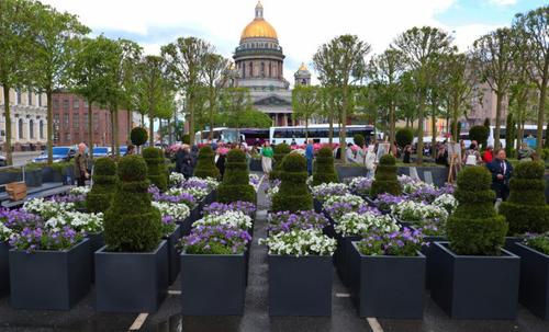 Липовый сад перед Мариинским дворцом обошелся бюджету Петербурга почти в 163 миллиона