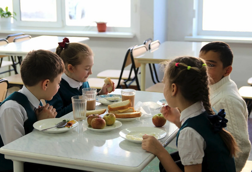 В школах Хабаровского края массовые нарушения в области питания выявили специалисты Роспотребнадзора