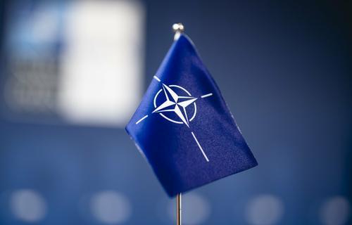 Кандидат в президенты США Рамасвами заявил, что расширение НАТО — это единственная причина конфликта на Украине 